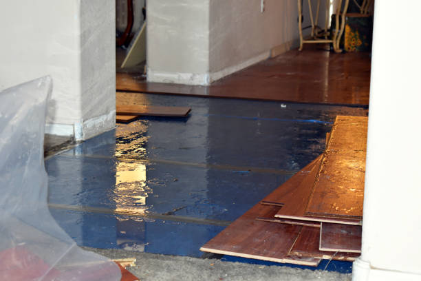 Professional Flood Cleanup technician working in Montague, MA